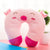 Cervical Airplane Travel Pillow